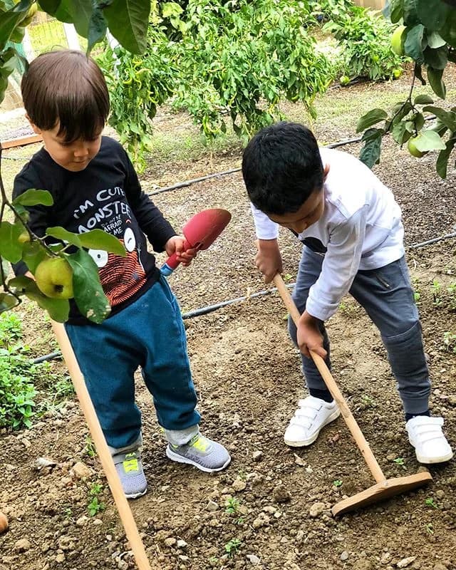 Anaokulu programları